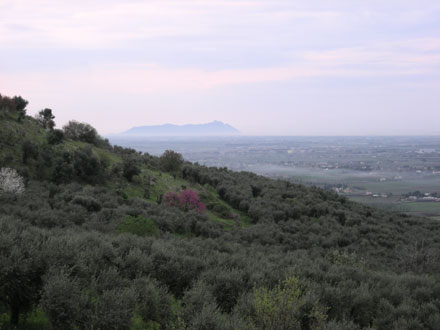 oliveto vista Circeo